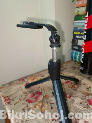 Microphone+selfie stick